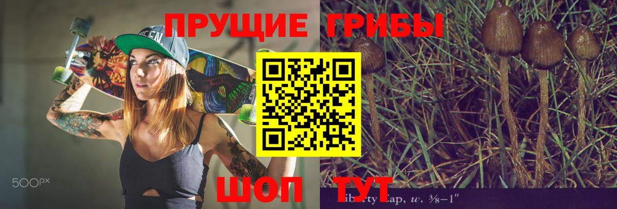 Кстово  Галлюциногенные грибы ЛСД  Вход с VPN 